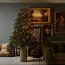 Ялинки: фото - магазин CANVAS outdoor furniture.