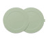 Mist Green