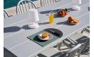 Набір серветок Placemaster (2шт.) Sage Anthra: фото - магазин CANVAS outdoor furniture.