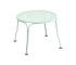 Ice Mint