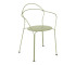 Willow Green Willow Green