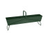 Cedar Green
