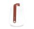 Red Ochre