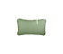 Eucalyptus Green