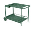  Cedar Green