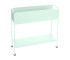 Ice Mint