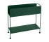 Cedar Green