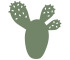 Cactus Cactus