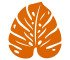 Candied Orange