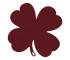 Black Cherry