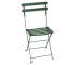 CEDAR GREEN CEDAR GREEN